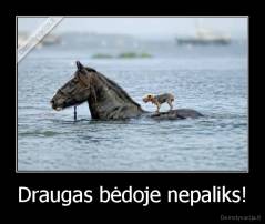 Draugas bėdoje nepaliks! - 