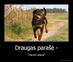 Draugas parašė - - "varom alaus"