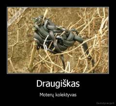 Draugiškas - Moterų kolektyvas