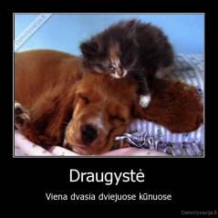 Draugystė  - Viena dvasia dviejuose kūnuose