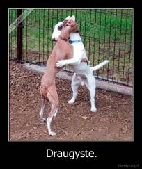 Draugyste. - 