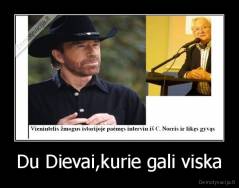 Du Dievai,kurie gali viska - 