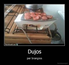 Dujos - per brangios