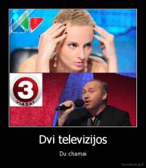 Dvi televizijos - Du chamai