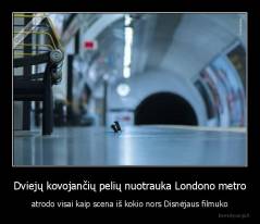 Dviejų kovojančių pelių nuotrauka Londono metro - atrodo visai kaip scena iš kokio nors Disnėjaus filmuko