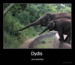 Dydis  - yra svarbus