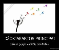 DŽOKJAKARTOS PRINCIPAI - tikrasis gėjų ir lesbiečių manifestas