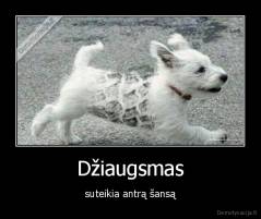 Džiaugsmas - suteikia antrą šansą