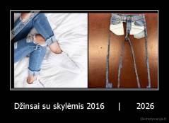 Džinsai su skylėmis 2016     |      2026 - 