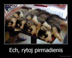 Ech, rytoj pirmadienis - 