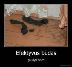 Efektyvus būdas - gaudyti peles