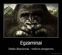 Egzaminai - Didelis išbandymas - mažoms smegenims