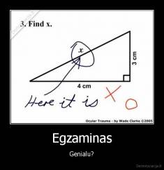 Egzaminas - Genialu?