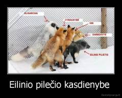 Eilinio pilečio kasdienybe  - 