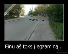 Einu aš toks į egzaminą... - 