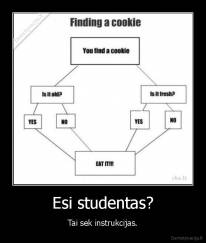 Esi studentas? - Tai sek instrukcijas.