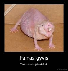 Fainas gyvis - Tinka mano pitoniukui 