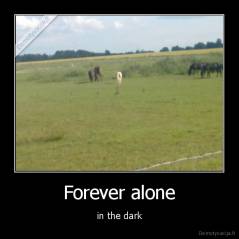 Forever alone - in the dark