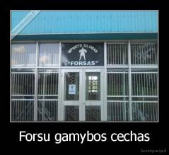 Forsu gamybos cechas - 