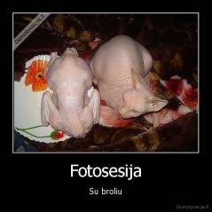 Fotosesija - Su broliu