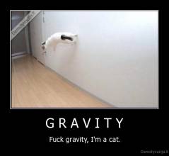 G R A V I T Y - Fuck gravity, I'm a cat.