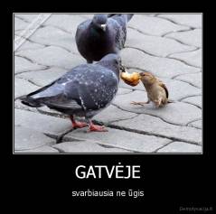 GATVĖJE - svarbiausia ne ūgis