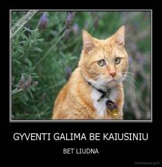 GYVENTI GALIMA BE KAIUSINIU - BET LIUDNA