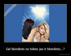 Gal blondinės ne tokios jau ir blondinės...? - 