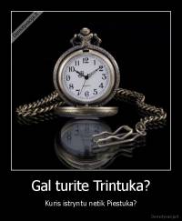 Gal turite Trintuka? - Kuris istryntu netik Piestuka?