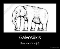 Galvosūkis - Kiek matote kojų?