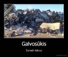 Galvosūkis - Surask lietuvį