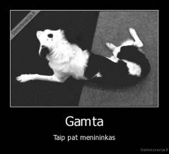 Gamta - Taip pat menininkas