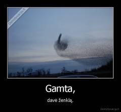 Gamta, - davė ženklą.