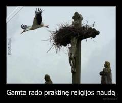 Gamta rado praktinę religijos naudą - 