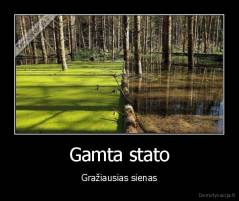 Gamta stato - Gražiausias sienas