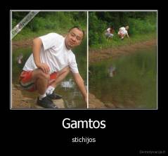 Gamtos - stichijos