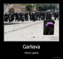 Garliava - Klonio gatvė