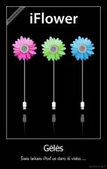 Gėlės - Šiais laikais iPod'us daro iš visko....