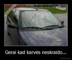 Gerai kad karvės neskraido... - 