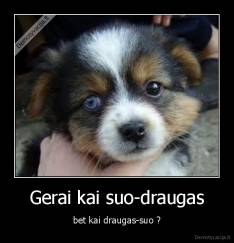 Gerai kai suo-draugas - bet kai draugas-suo ?