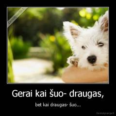 Gerai kai šuo- draugas, - bet kai draugas- šuo...