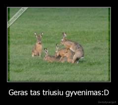 Geras tas triusiu gyvenimas:D - 