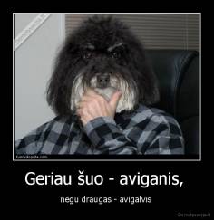 Geriau šuo - aviganis,  - negu draugas - avigalvis 