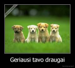 Geriausi tavo draugai - 