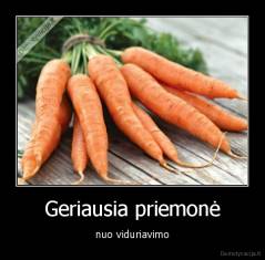 Geriausia priemonė - nuo viduriavimo