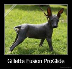 Gillette Fusion ProGlide - 