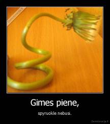 Gimes piene, - spyruokle nebusi.