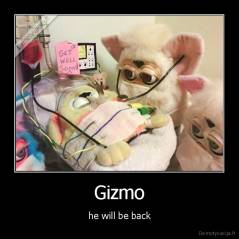 Gizmo - he will be back