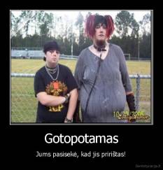 Gotopotamas - Jums pasisekė, kad jis pririštas!