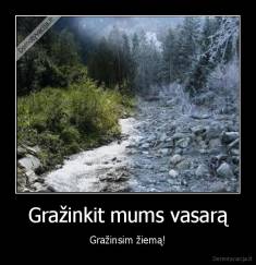 Gražinkit mums vasarą - Gražinsim žiemą!